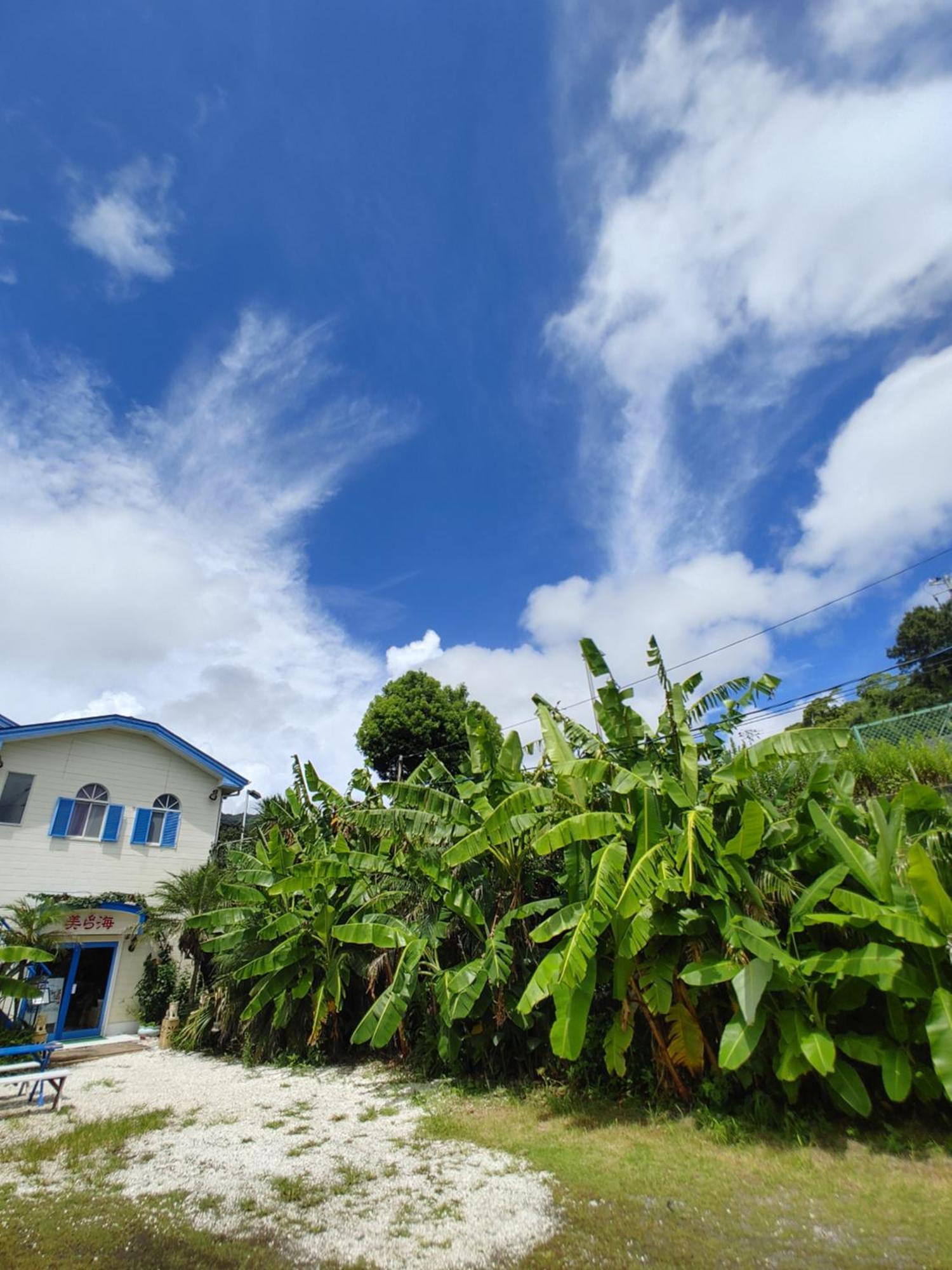 Guest House Churaumi Shimoda  Eksteriør bilde